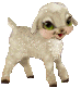 ovella imatges-animades-gif